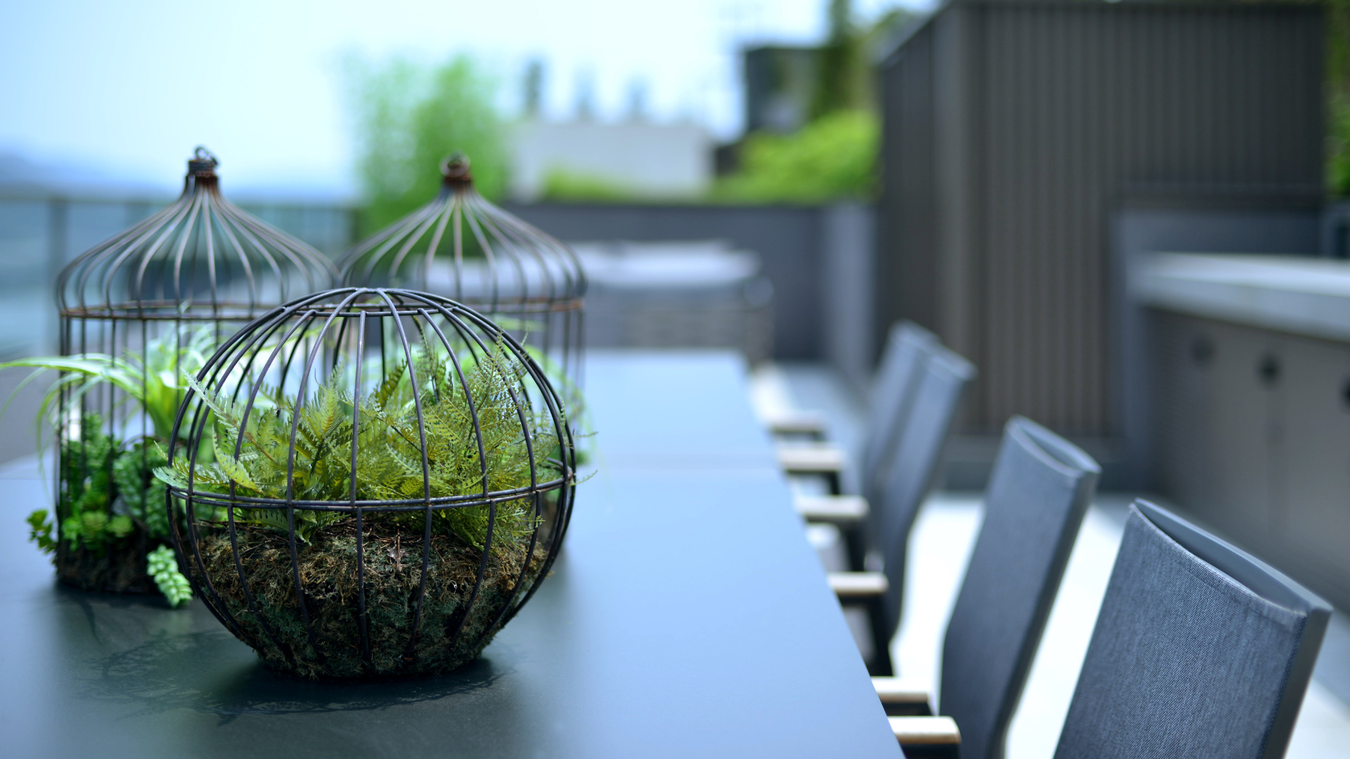 Artificial Plants