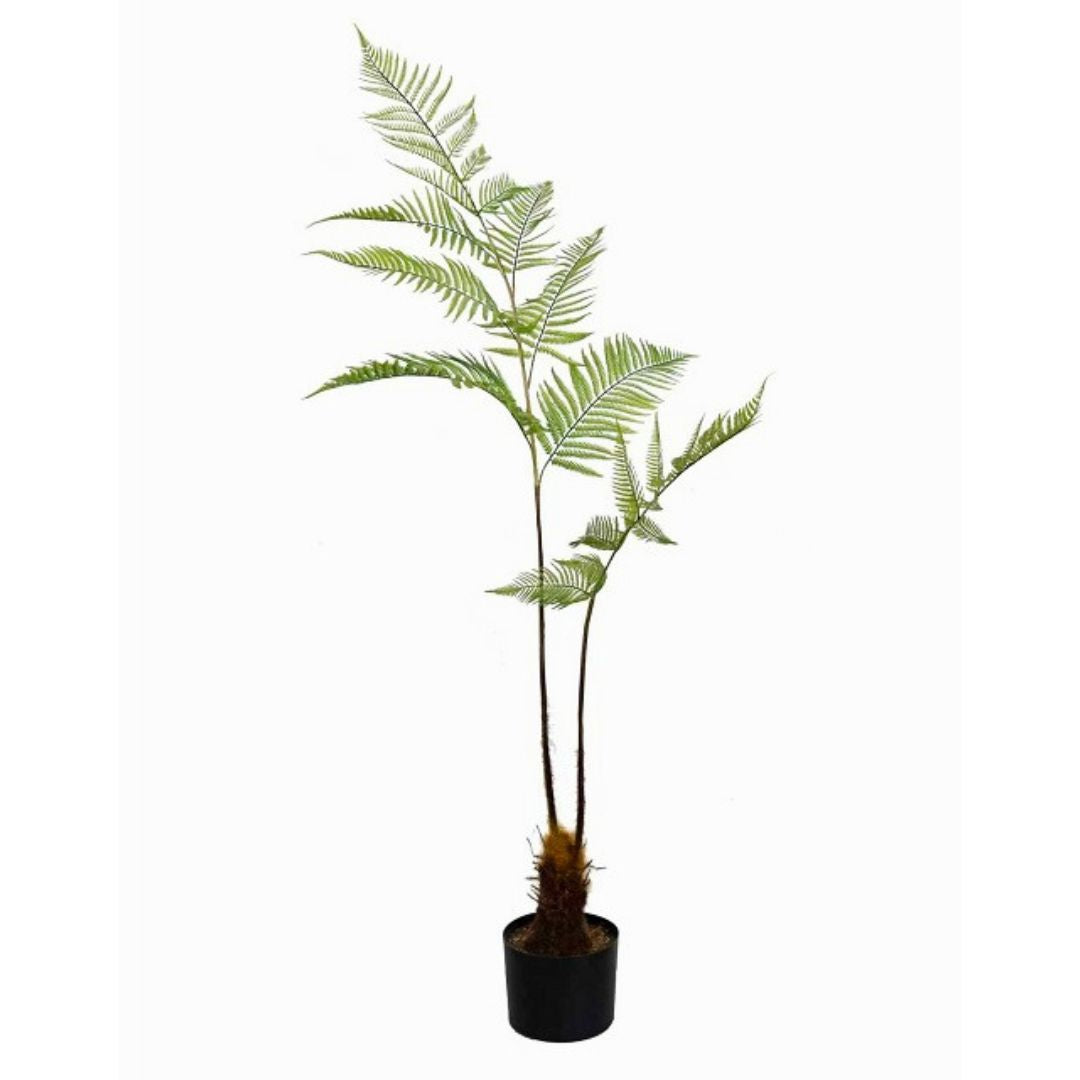 Artificial Fern Foliage 仿真蕨叶