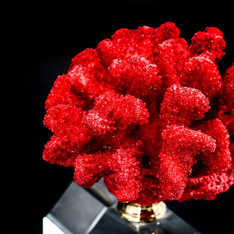 ARTIFICIAL Coral #1, Red