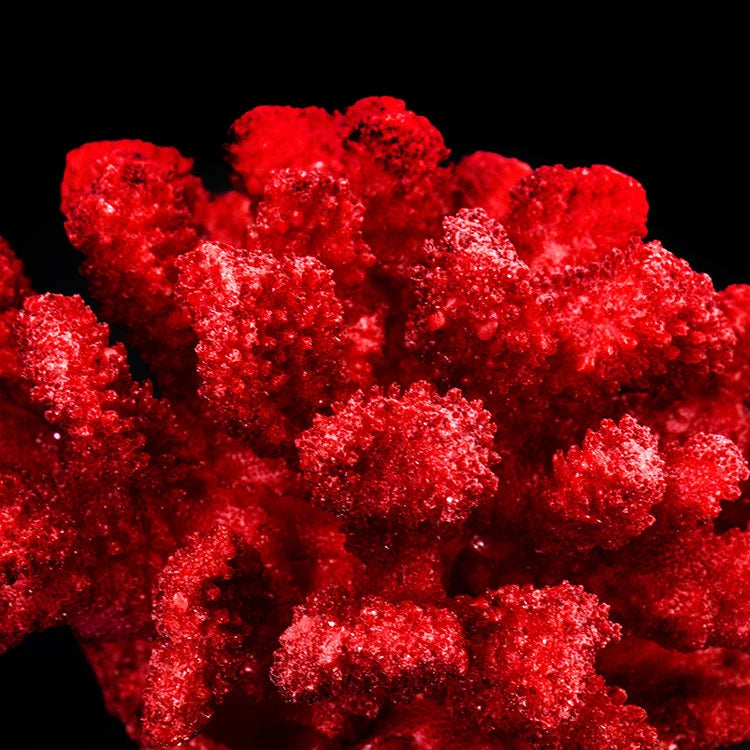 ARTIFICIAL Coral #1, Red