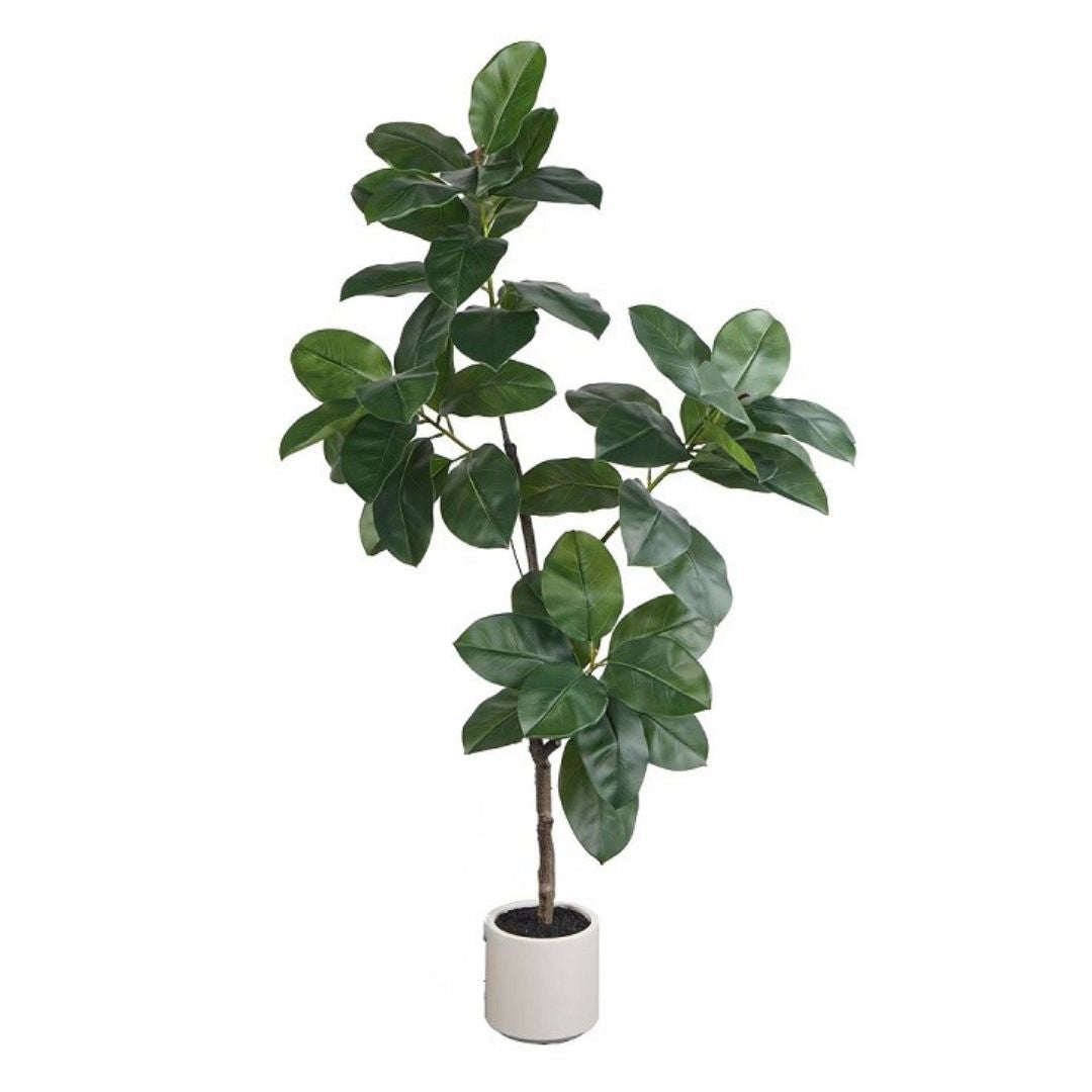 Artificial Banyan Fig ｜ OVO