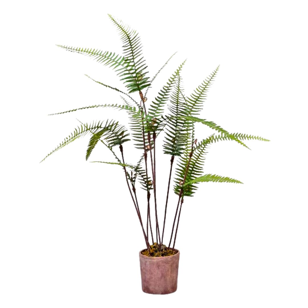 Artificial Fern Foliage with pot | OVO