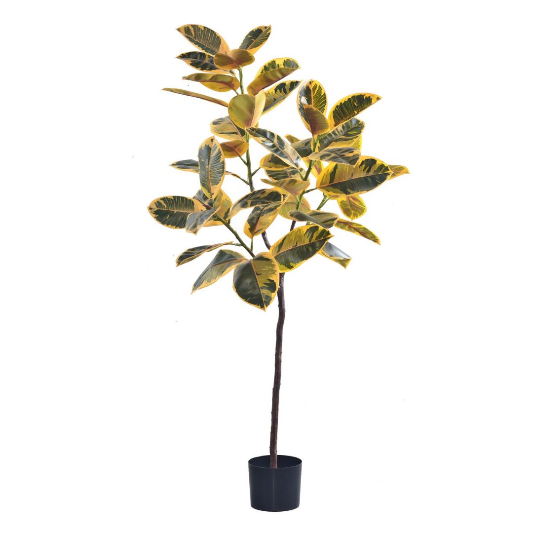 Artificial Rubber Plant ｜OVO