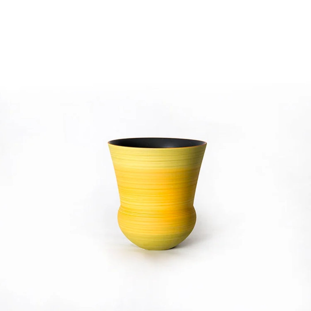 Artificial Fern Foliage 仿真蕨叶