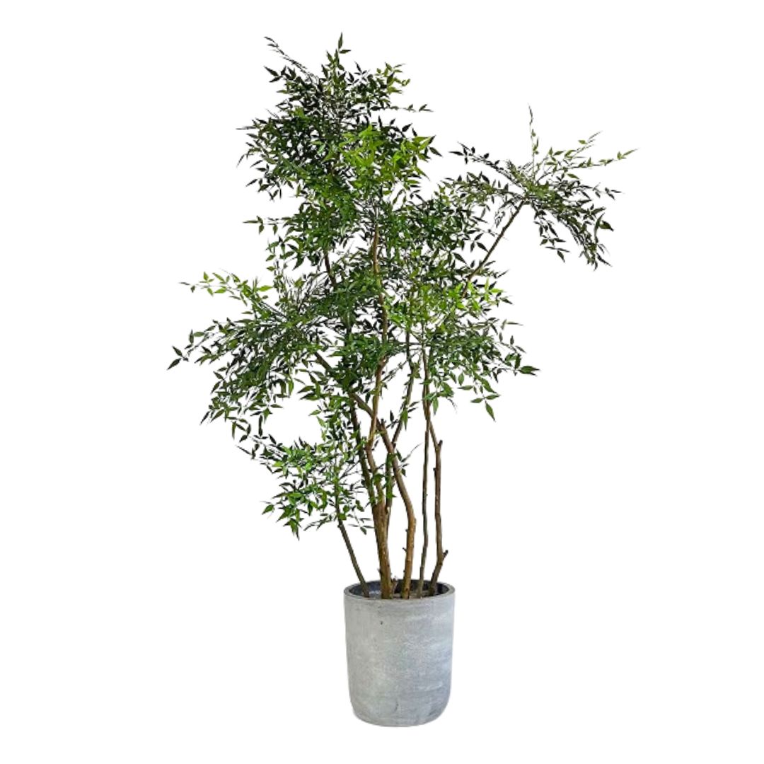 Grand Artificial Heavenly Bamboo | OVO