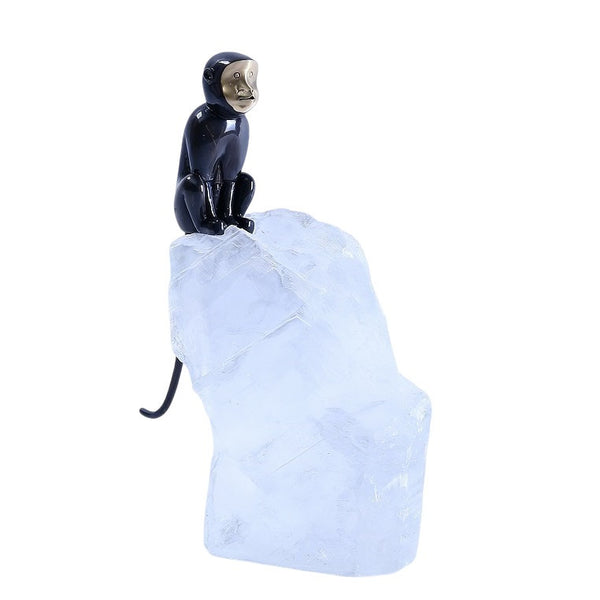 Monkey on Stone