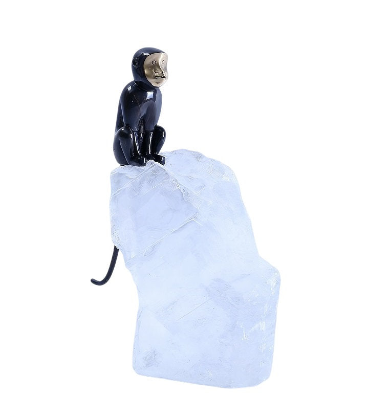 Monkey on Stone