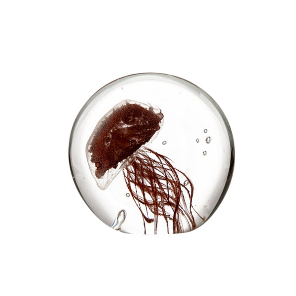 REEF Glass Decoration | OVO