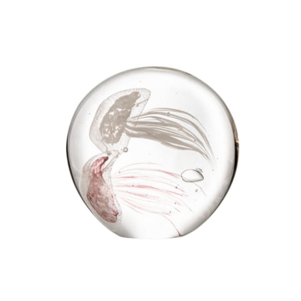 TIDE Glass Decoration | OVO