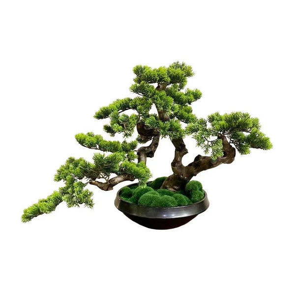 Artifical Bonsai with Ceramic Pot | OVO