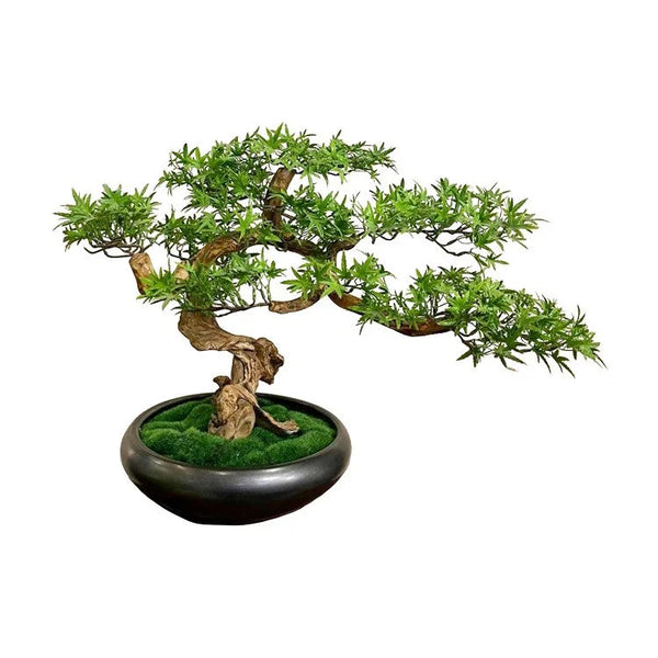 Artifical Bonsai with Ceramic Pot | OVO