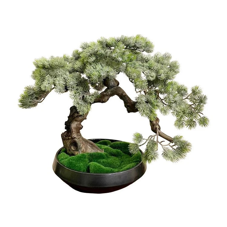 Artifical Bonsai with Ceramic Pot | OVO