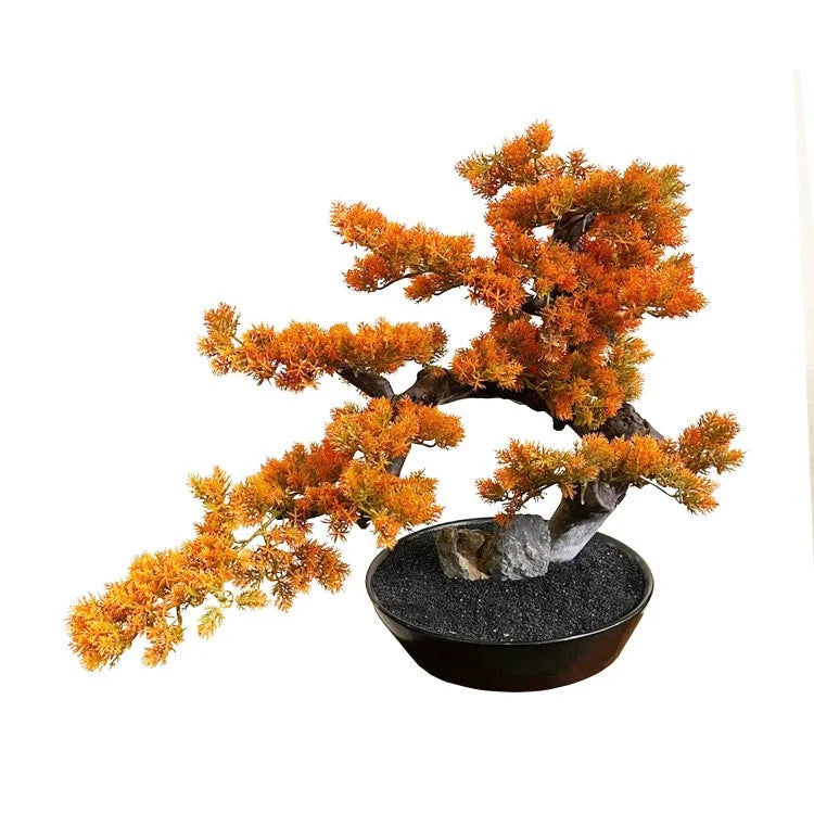 Artifical Bonsai with Ceramic Pot | OVO