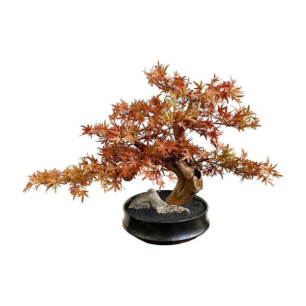 Artifical Bonsai with Ceramic Pot | OVO