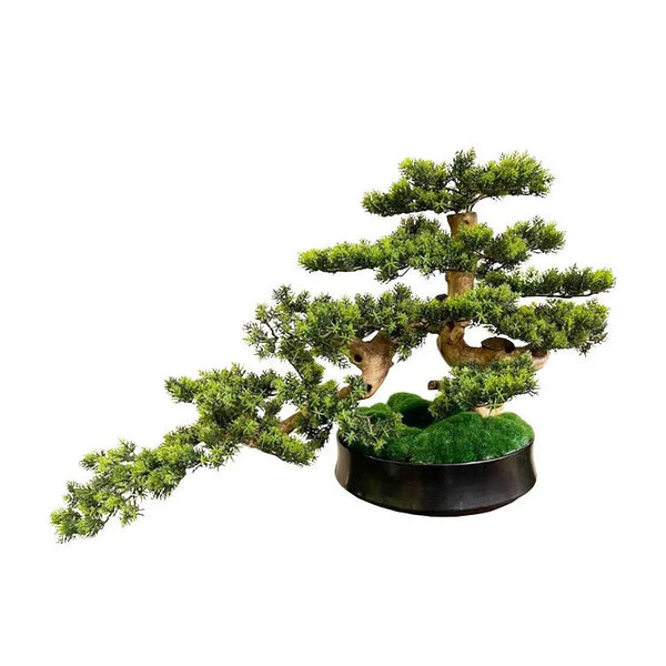 Artifical Bonsai with Ceramic Pot | OVO