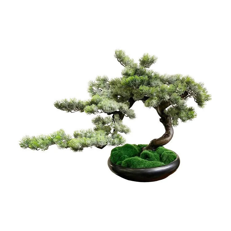 Artifical Bonsai with Ceramic Pot | OVO