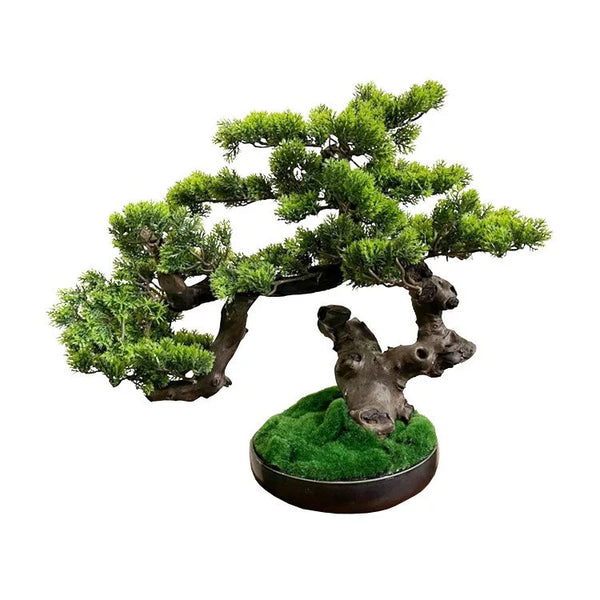 Artifical Bonsai with Ceramic Pot | OVO