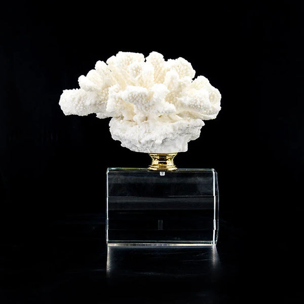 ARTIFICIAL Coral #1, White