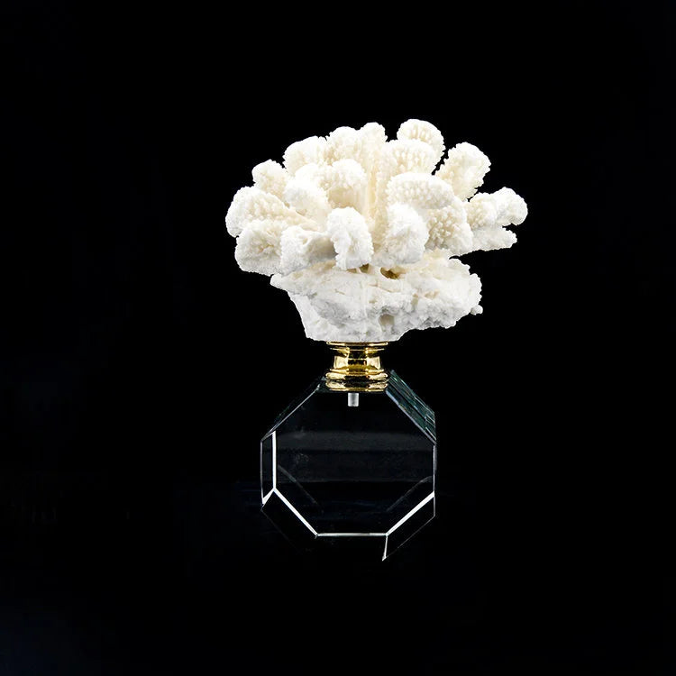 ARTIFICIAL Coral #1, White