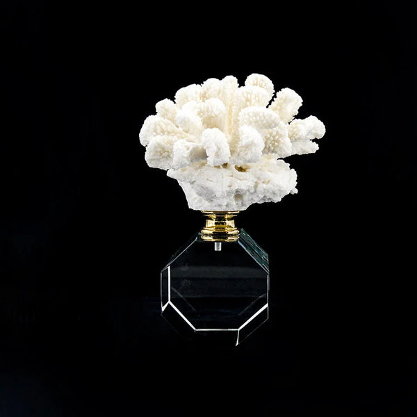 ARTIFICIAL Coral #1, White