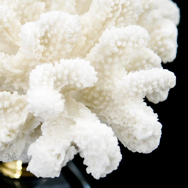 ARTIFICIAL Coral #1, White