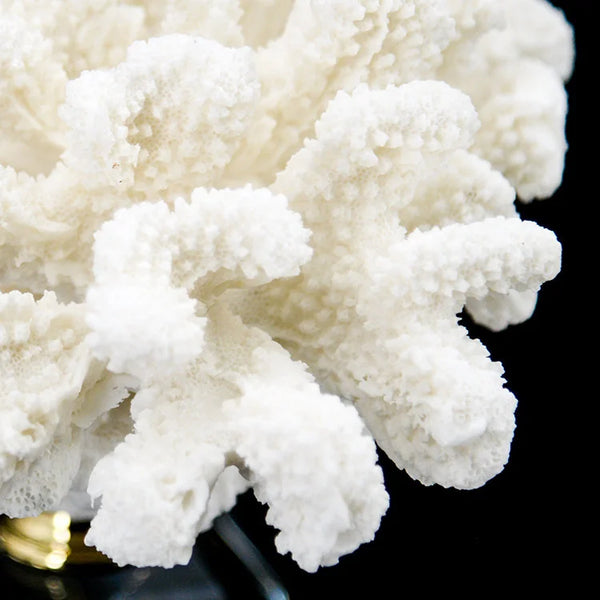 ARTIFICIAL Coral #1, White