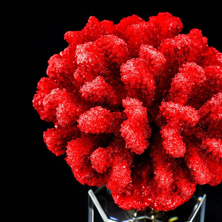 ARTIFICIAL Coral #2, Red
