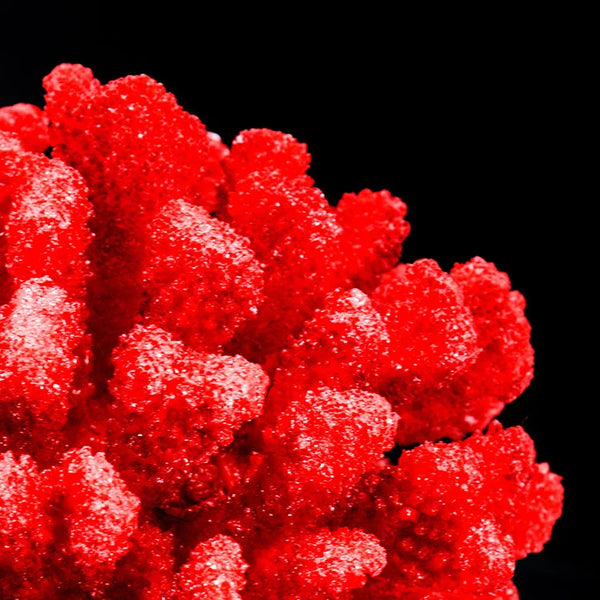 ARTIFICIAL Coral #2, Red