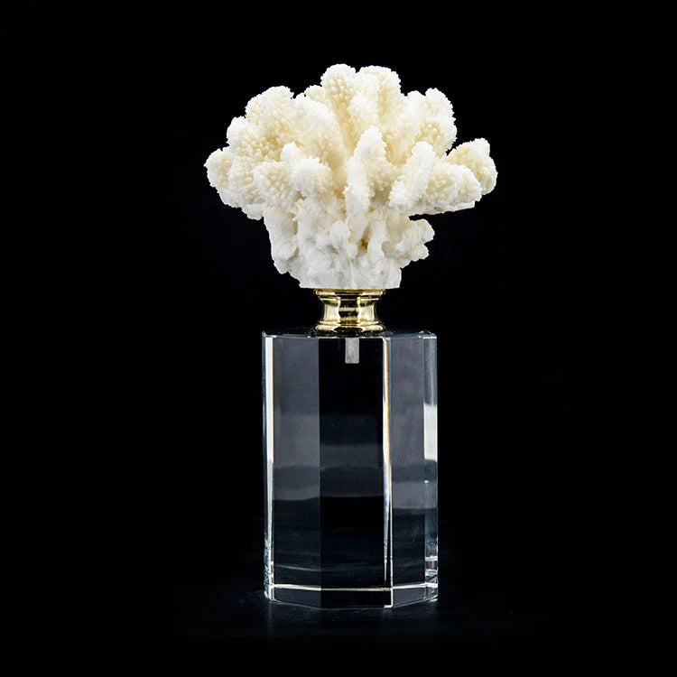 ARTIFICIAL Coral #2, White