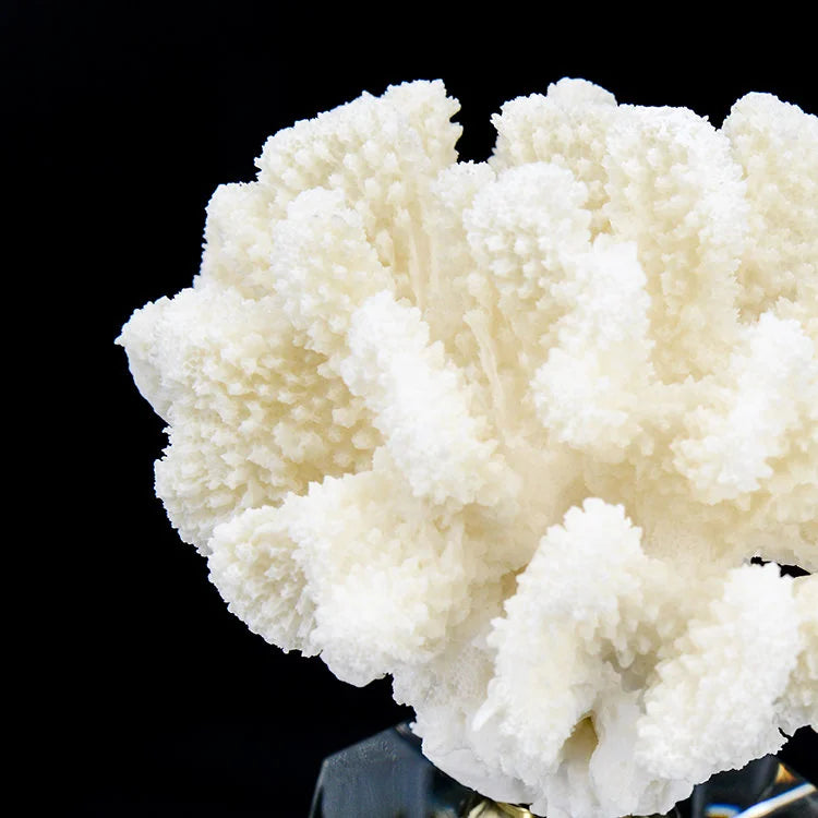 ARTIFICIAL Coral #2, White