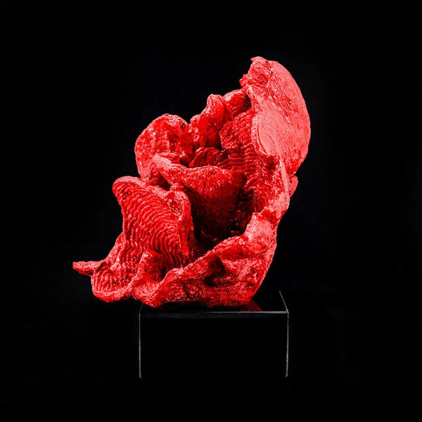 ARTIFICIAL Coral #3, Red