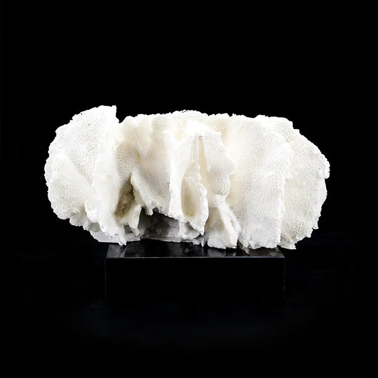 ARTIFICIAL Coral #4, White