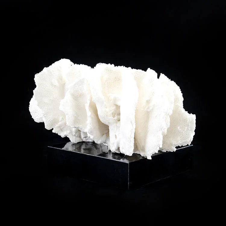 ARTIFICIAL Coral #4, White