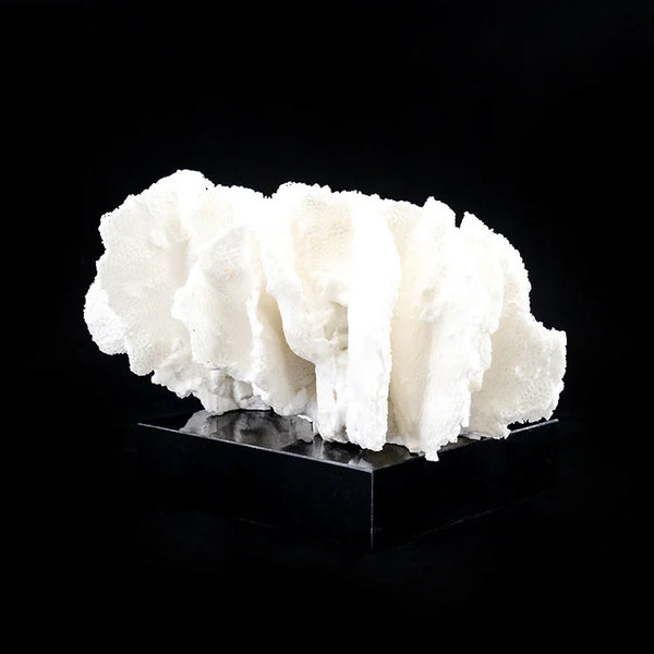 ARTIFICIAL Coral #4, White