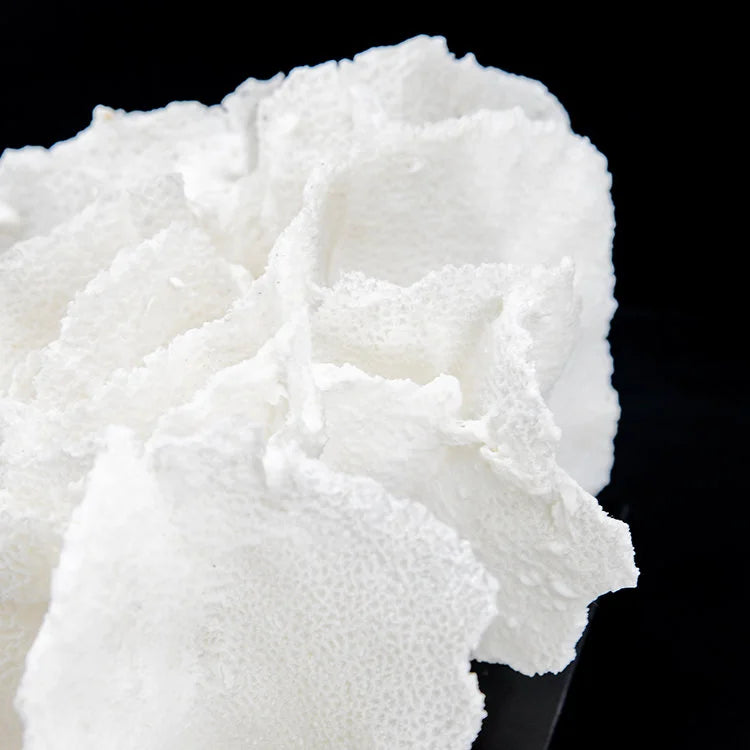 ARTIFICIAL Coral #4, White