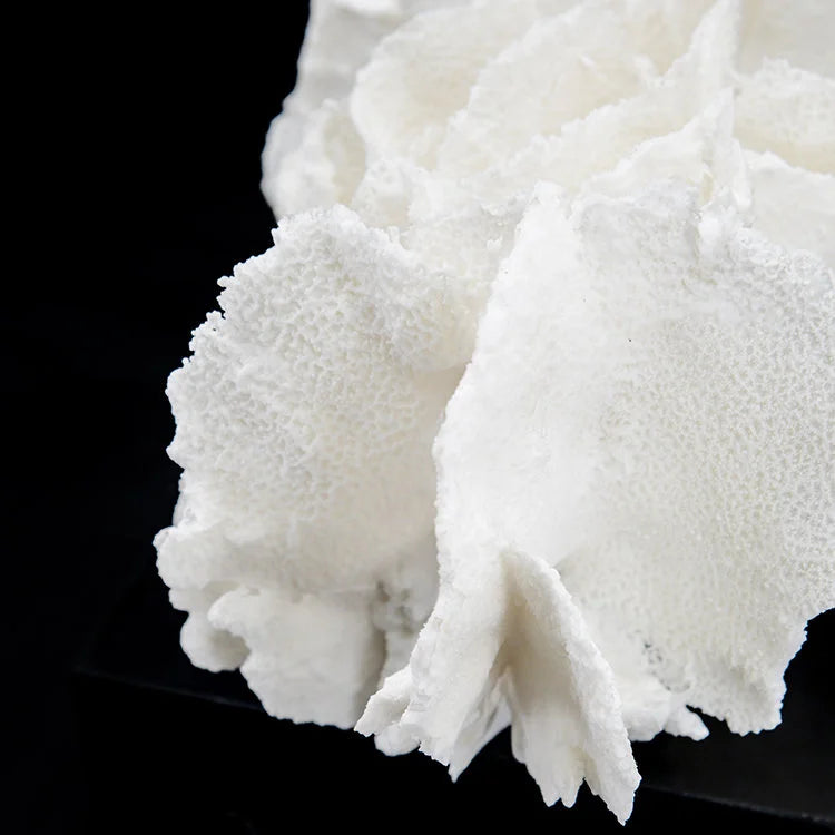 ARTIFICIAL Coral #4, White