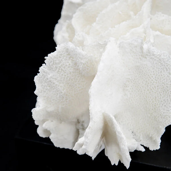 ARTIFICIAL Coral #4, White