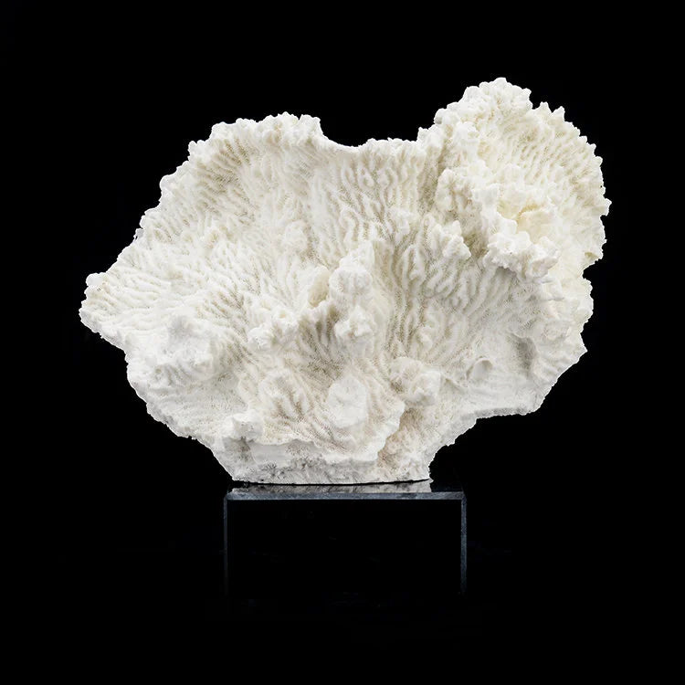 ARTIFICIAL Coral #5, White