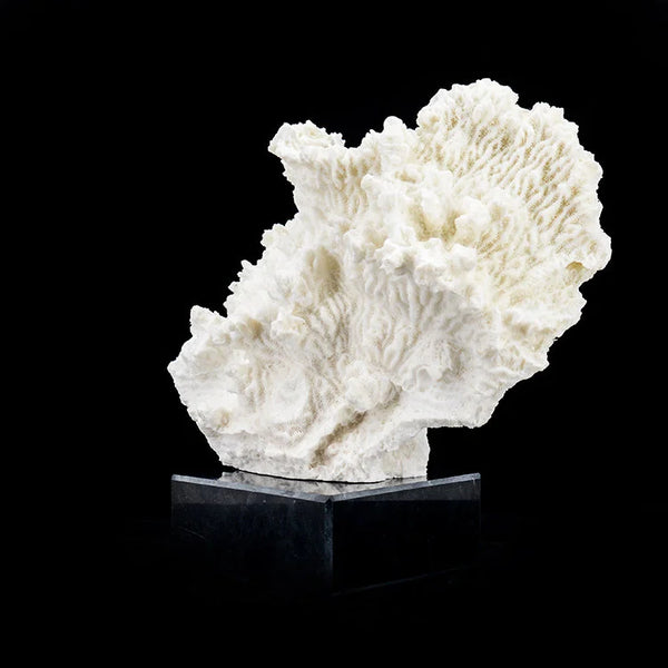 ARTIFICIAL Coral #5, White
