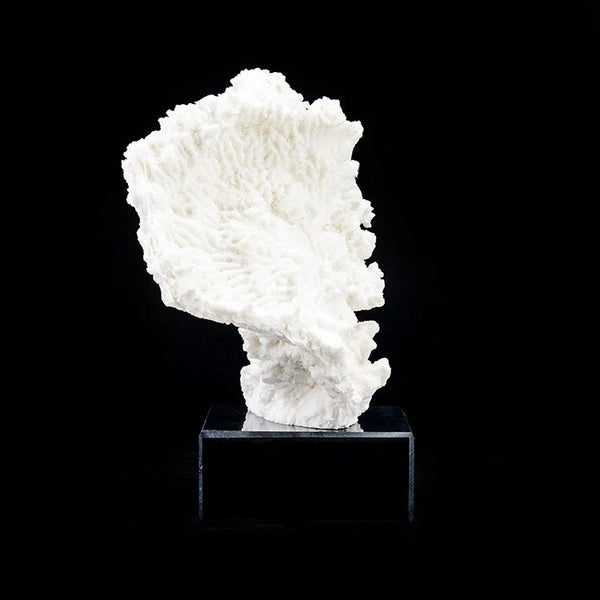 ARTIFICIAL Coral #5, White