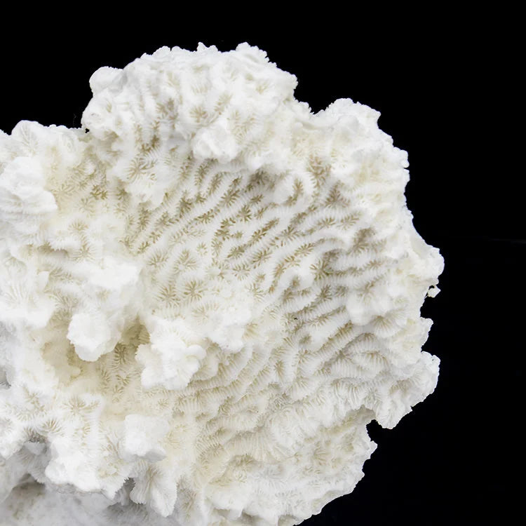 ARTIFICIAL Coral #5, White