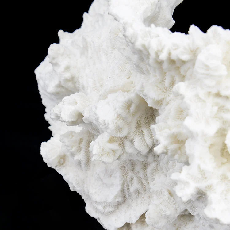 ARTIFICIAL Coral #5, White