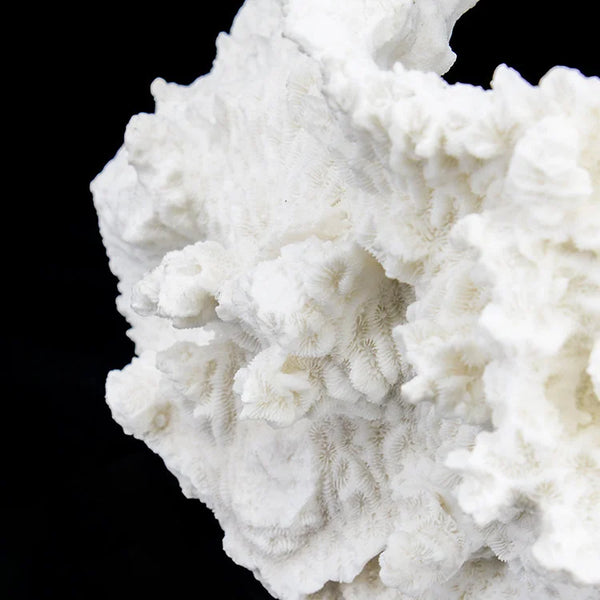 ARTIFICIAL Coral #5, White