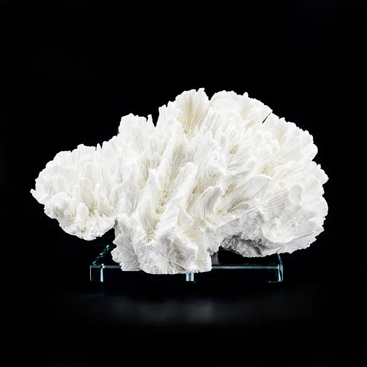 ARTIFICIAL Coral #6, White