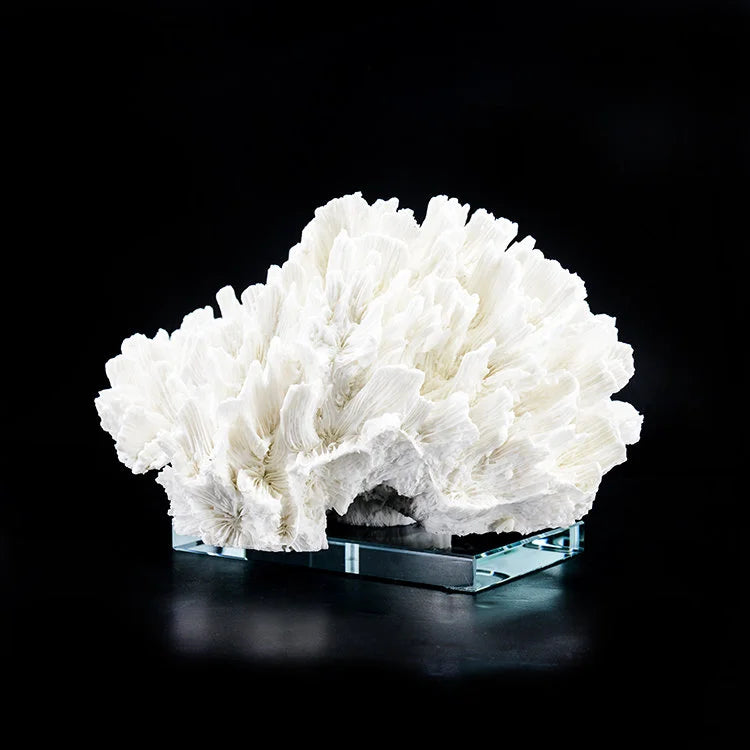 ARTIFICIAL Coral #6, White