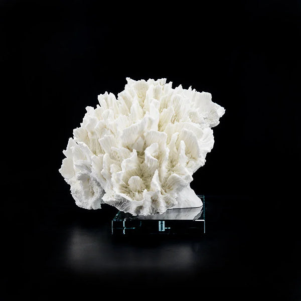 ARTIFICIAL Coral #6, White