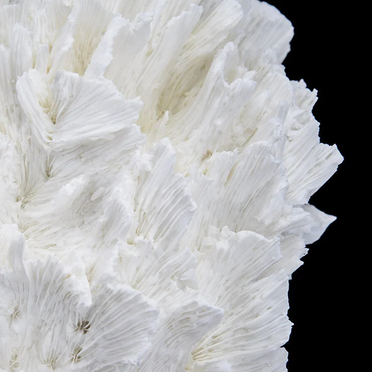 ARTIFICIAL Coral #6, White