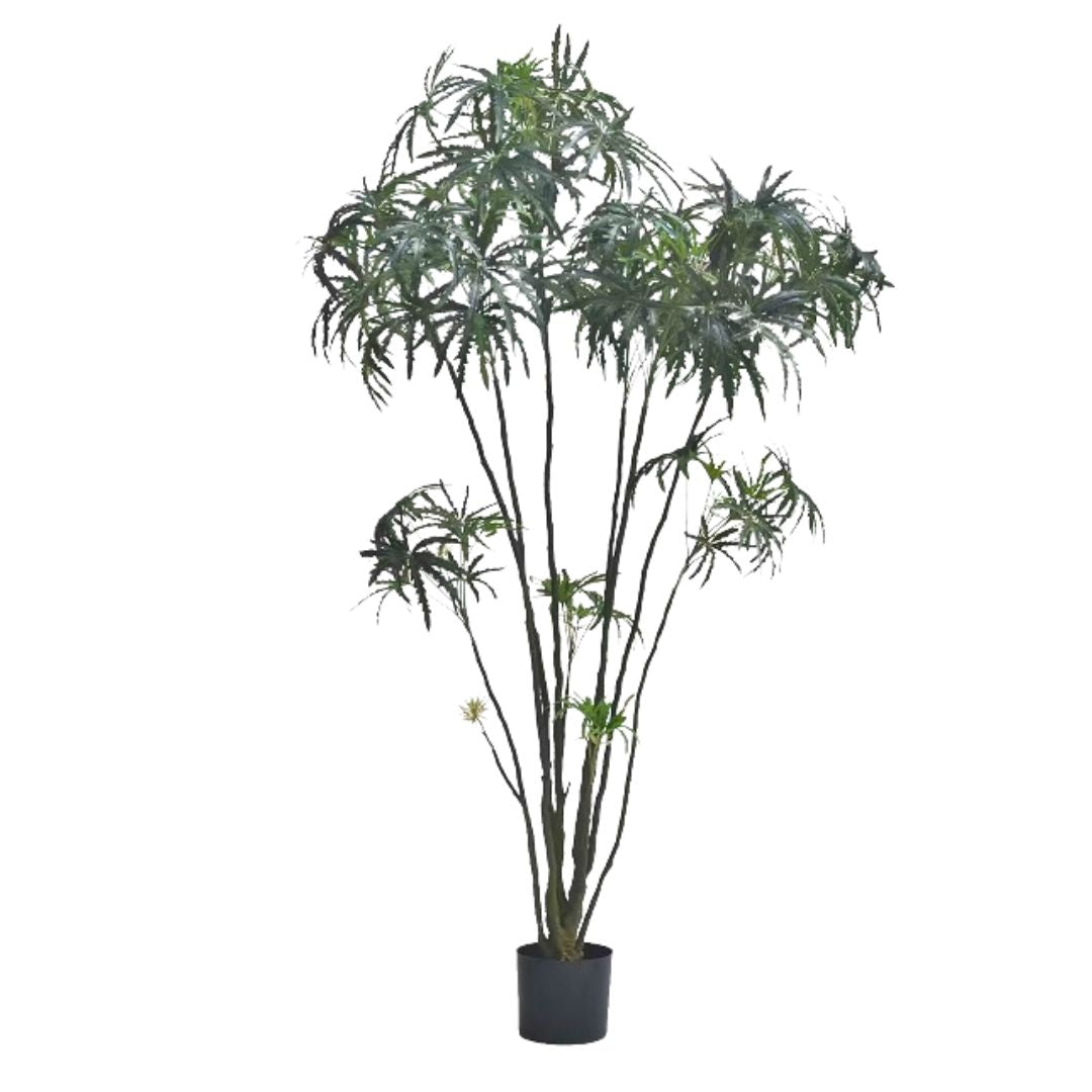 Artificial Ming Aralia
