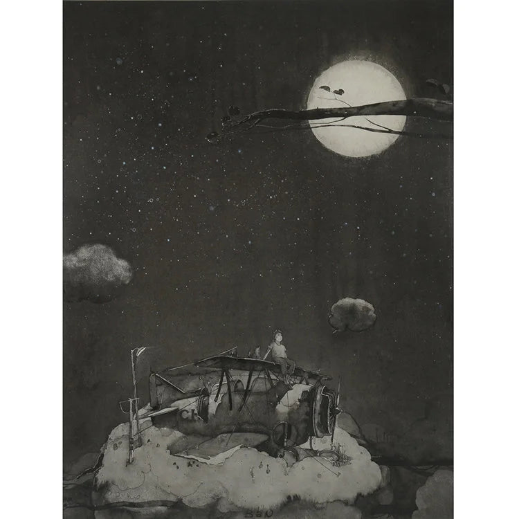 BIPLANE FULL MOON - Ink Painting 2 | OVO