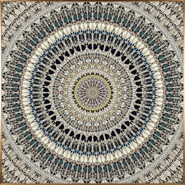 CIRCUM Butterflies Artwork #2